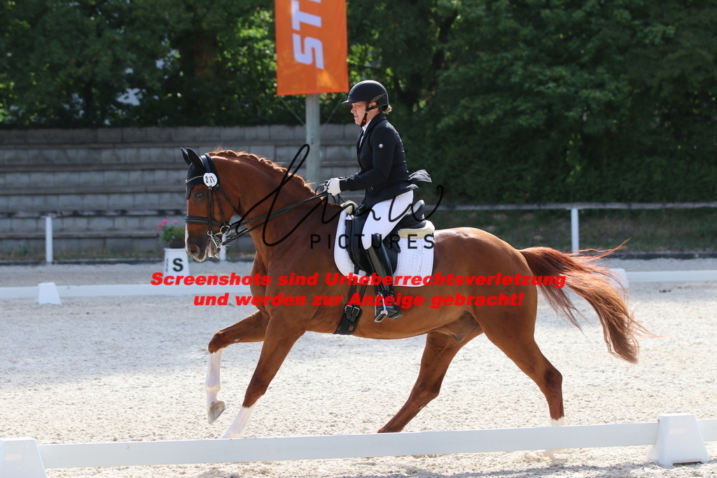 IMG_5645 | lmwpictures - Realisiert mit Pictrs.com