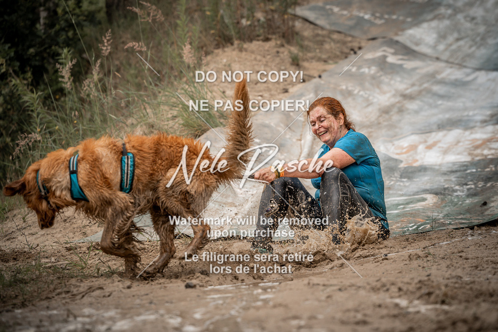 nelerasche_sa1000-1100_441 | nelerasche