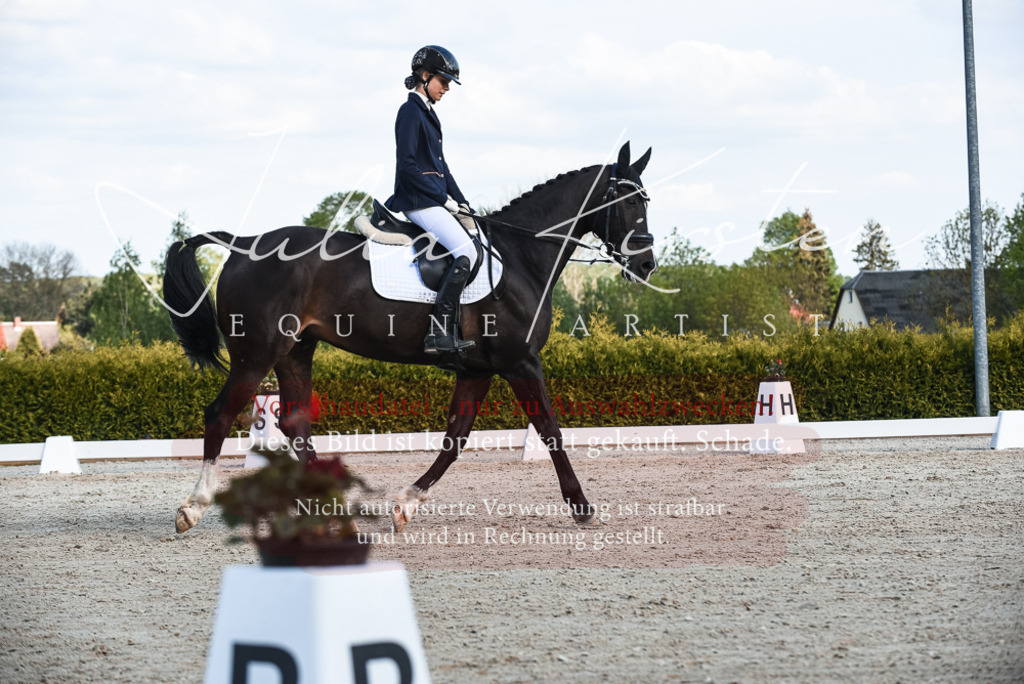 20230518_JK-Röhrsdorf-12-0836 | Pferde- und Turnierfotografie in Westsachsen. Pferdeportraits, Auftragszeichnungen und intuitive Kunst.