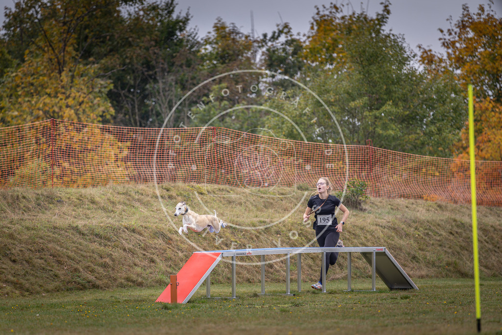 Pfotenfotografie_DV3A1353 | Hundefotografie, Tierfotograf, Pfotenfotografie, Fotoshooting Hund, Hunde Portrait, Hundesport, Hundeportraits, Heideshooting, Hunde, Sportfotograf, Hundefotograf, Turnierhundsport, THS,  - Realisiert mit Pictrs.com