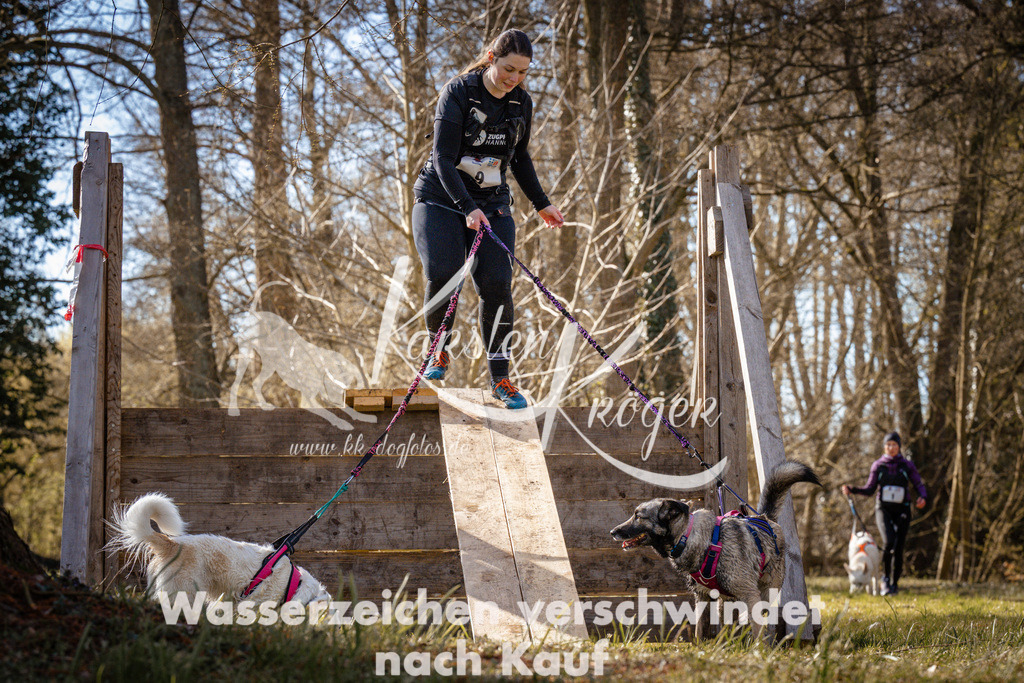 0907_ZZ93744 | kk-dogfotos