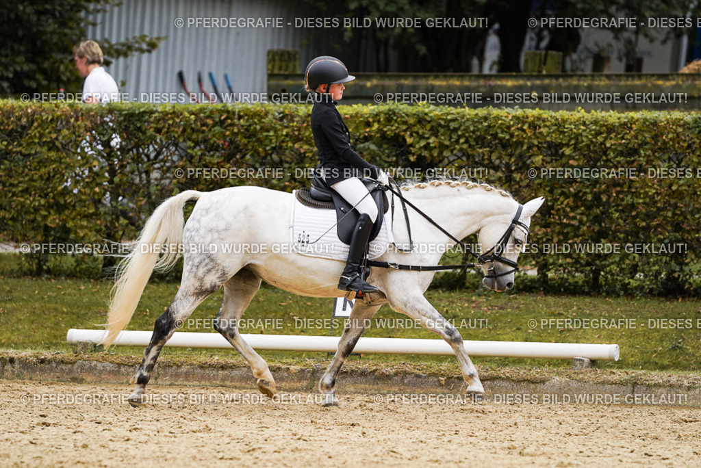 DSC09726 | Pferdegrafie