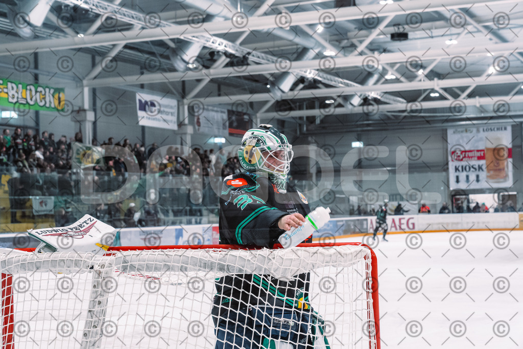 Alligators_vs_Passau_03_12_2025-32 | Höchstadt Alligators Fotogalerie: Eishockey-Action aus Franken. Professionelle Spielfotos, Portraits & Stadionbilder zum Download. Jetzt entdecken! - Realisiert mit Pictrs.com
