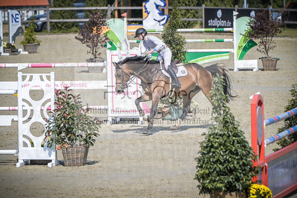 DOS_0763 | Entdecke hochwertige Reitturnierfotos von Foto Oger. Professionell, emotional und authentisch – jetzt Lieblingsmomente im Shop bestellen.Deutschlandweite Turnierfotografie. - Realisiert mit Pictrs.com