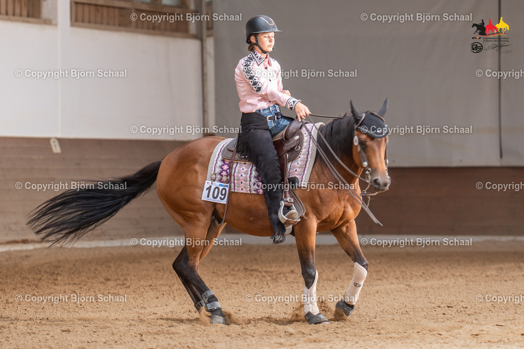 LMS06209 | BS-foto