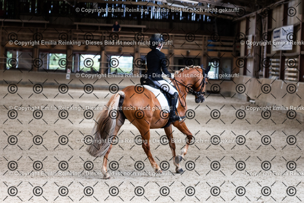 CL5A3828 | Emilia Reinking Fotografie - Realisiert mit Pictrs.com