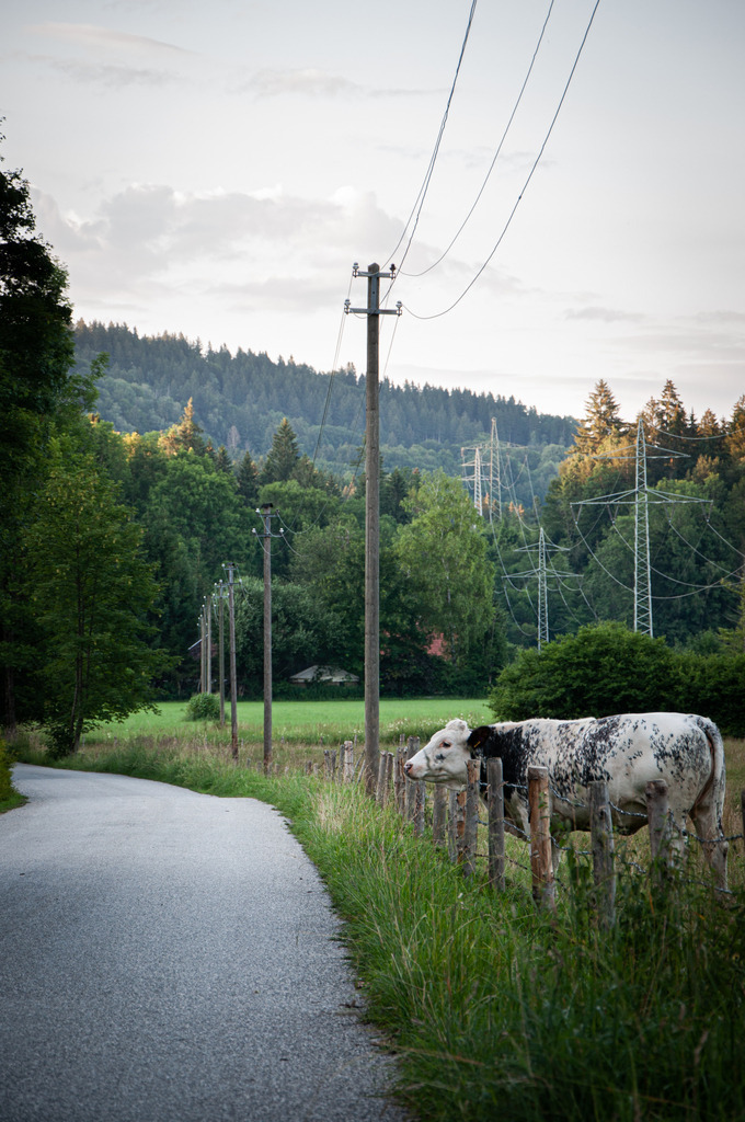 DSC_0985 | kaefersammler_roy - Realisiert mit Pictrs.com