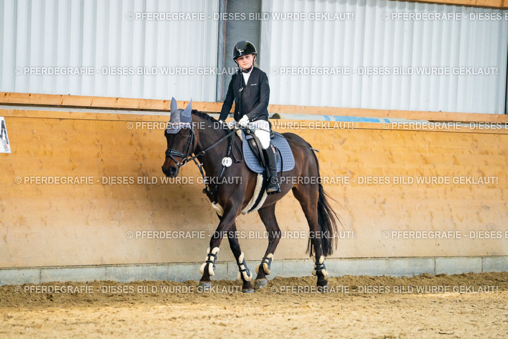 DSC00876 | Pferdegrafie