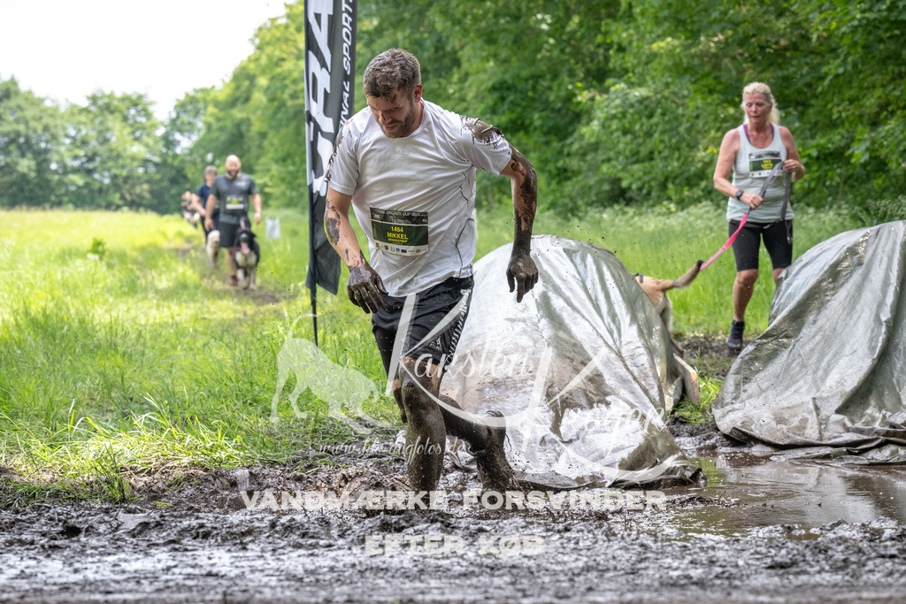 1249_ZZ93738 | kk-dogfotos