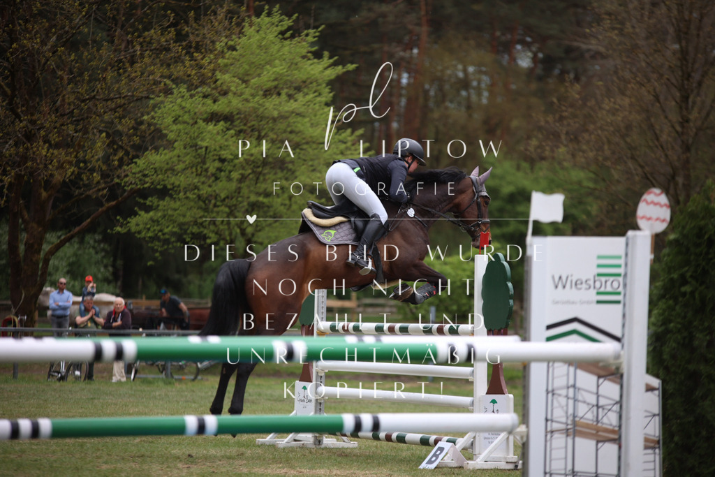 IMGT1750 | pl-fotografie