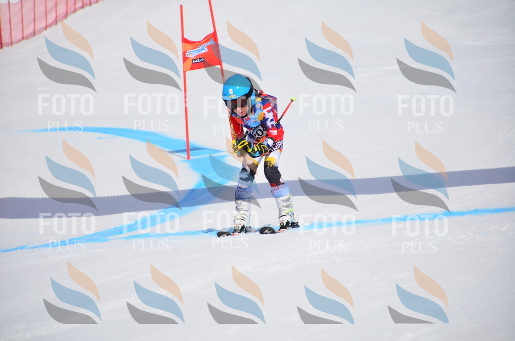 VR4_7045 | holidayphoto