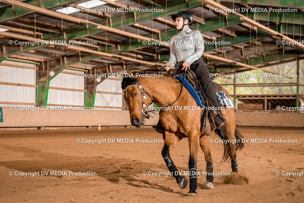 BA400529 | dv-media-shop - Realisiert mit Pictrs.com