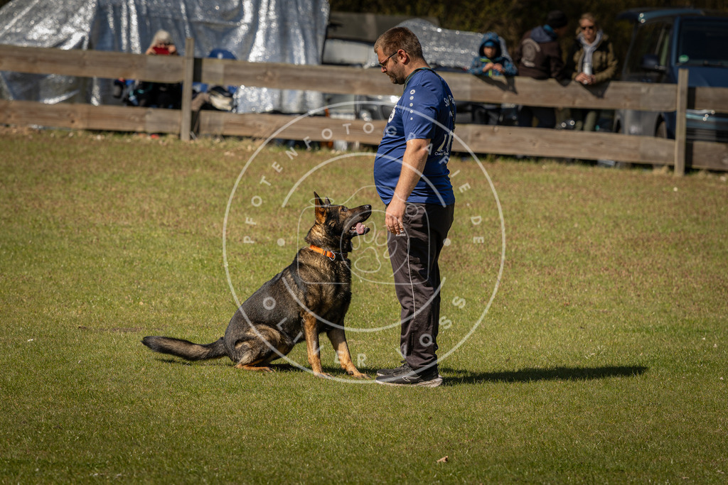 Pfotenfotografie_DV3A0835 | Hundefotografie, Tierfotograf, Pfotenfotografie, Fotoshooting Hund, Hunde Portrait, Hundesport, Hundeportraits, Heideshooting, Hunde, Sportfotograf, Hundefotograf, Turnierhundsport, THS,  - Realisiert mit Pictrs.com