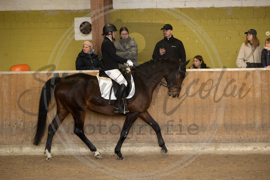 994A8918 | sabrinanicolaifotografie - Realisiert mit Pictrs.com