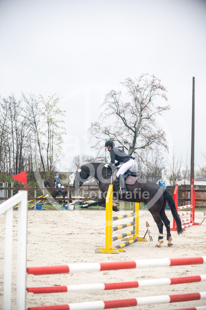 DSC_8407 | sattelsport - Realisiert mit Pictrs.com