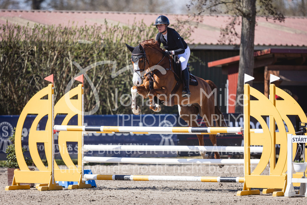 250408_Mühlen_SprPf-L-338 | Deine schönsten Turniermomente als professionelle Fotos! Entdecke hochwertige Pferdesport-Fotografie im Online-Shop. Jetzt Fotos finden & bestellen!