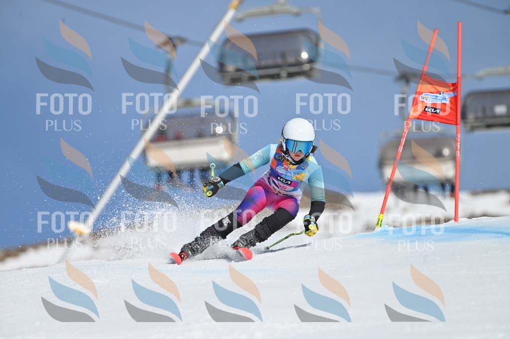 BGV_9152 | holidayphoto