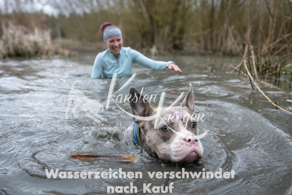 1001_ZZ95239 | kk-dogfotos