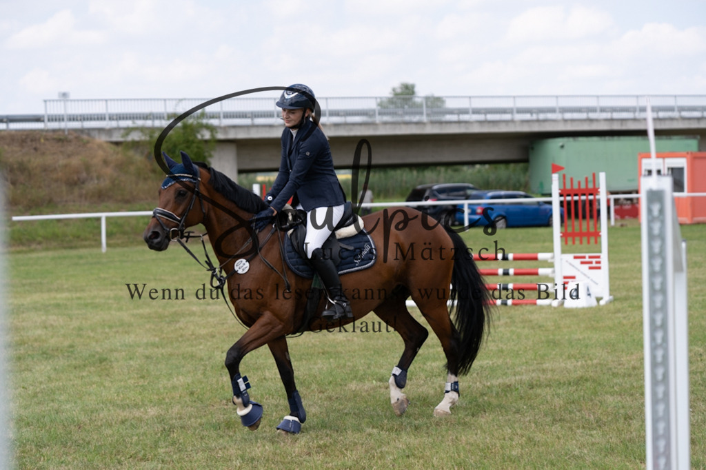 A7V00232 | Pferdefotograf