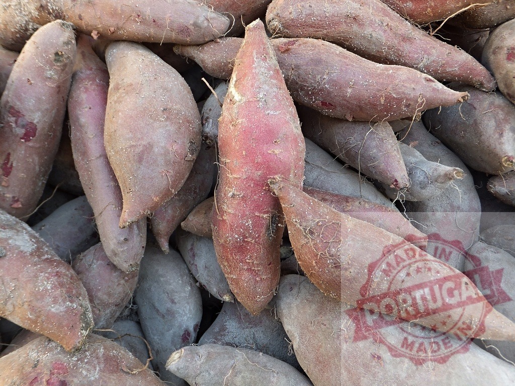 Sweet potato harvest piling fresh raw roots | Pile of raw purple sweet potatoes just harvested from the farm - Realisiert mit Pictrs.com
