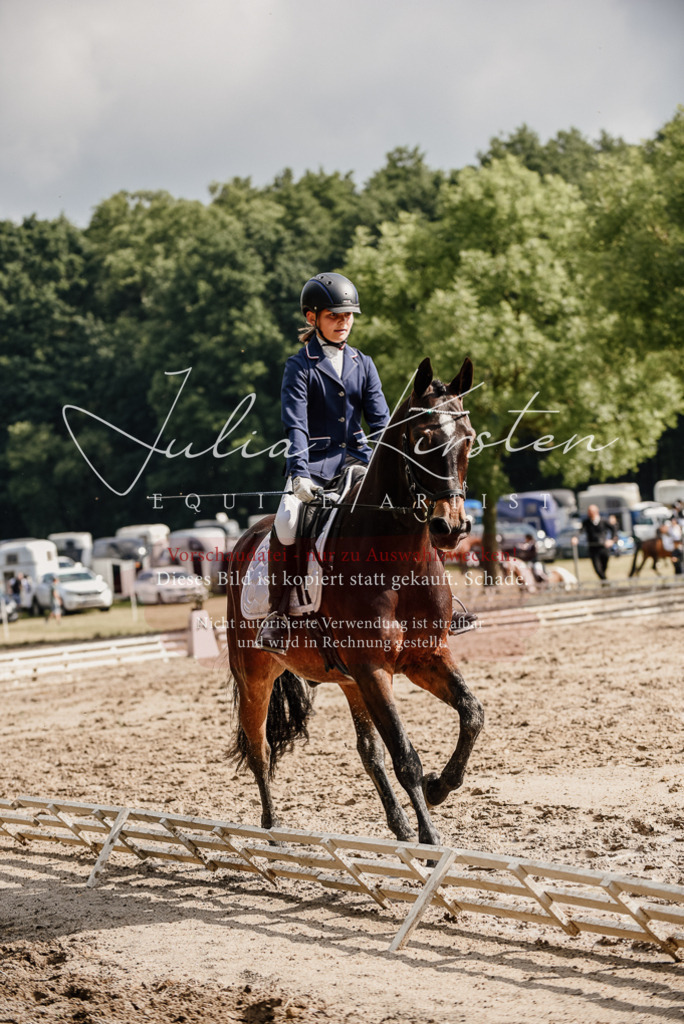 DSC_9180 | Pferde- und Turnierfotografie in Westsachsen. Pferdeportraits, Auftragszeichnungen und intuitive Kunst.