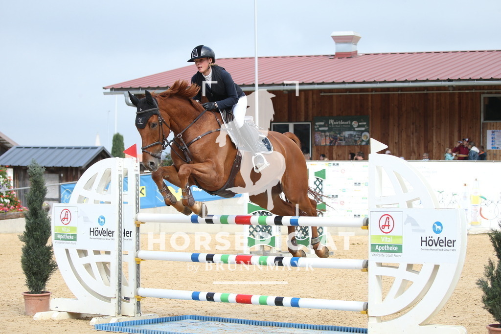 DL2Q4461 | Willkommen bei Brunnmayr - Design & Fotografie – Ihrem Spezialisten für Reitturniere und Pferdeveranstaltungen in Oberösterreich, Salzburg und Bayern! Seit über 17 Jahren sind wir leidenschaftlich dabei.