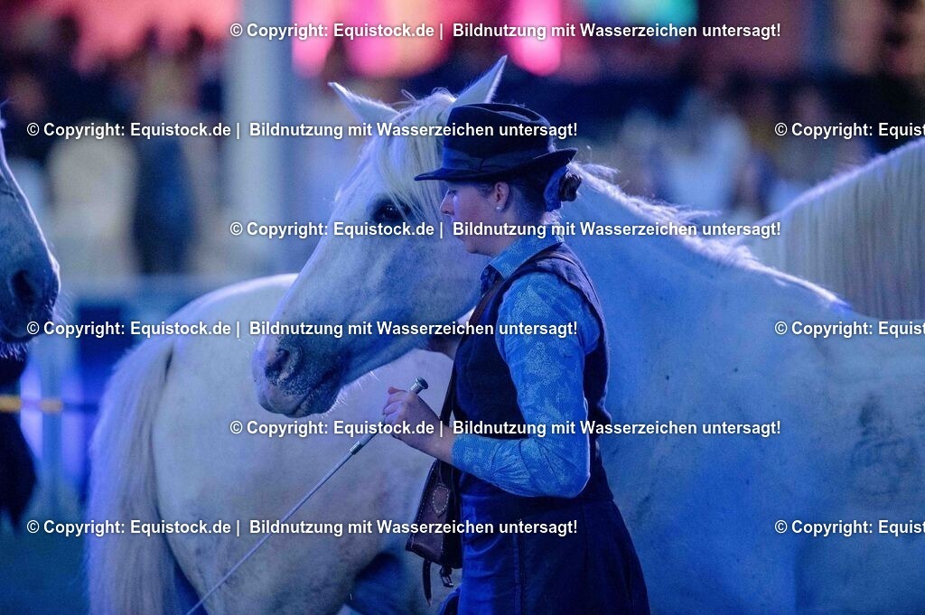 20250606_Lange-Pferdenacht_1075 | Foto: Thomas Hartig