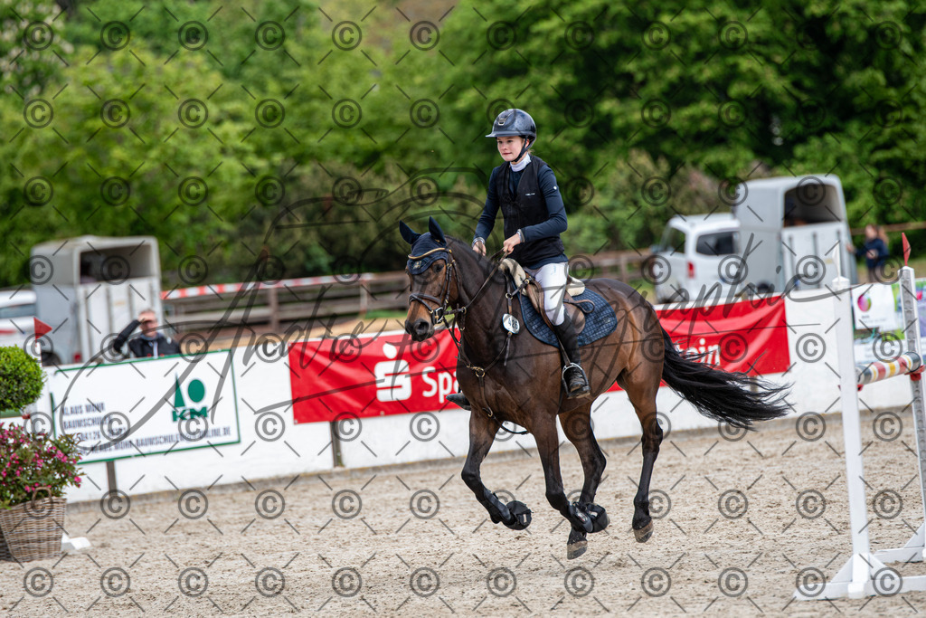 KPT_8928 | andre_photographic