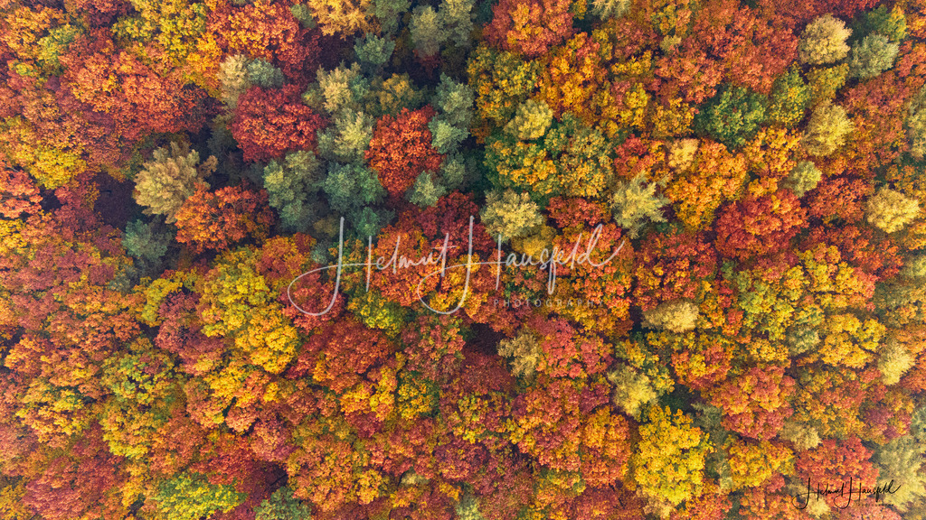 DJI_20241026092408_0104_D | default - Realisiert mit Pictrs.com