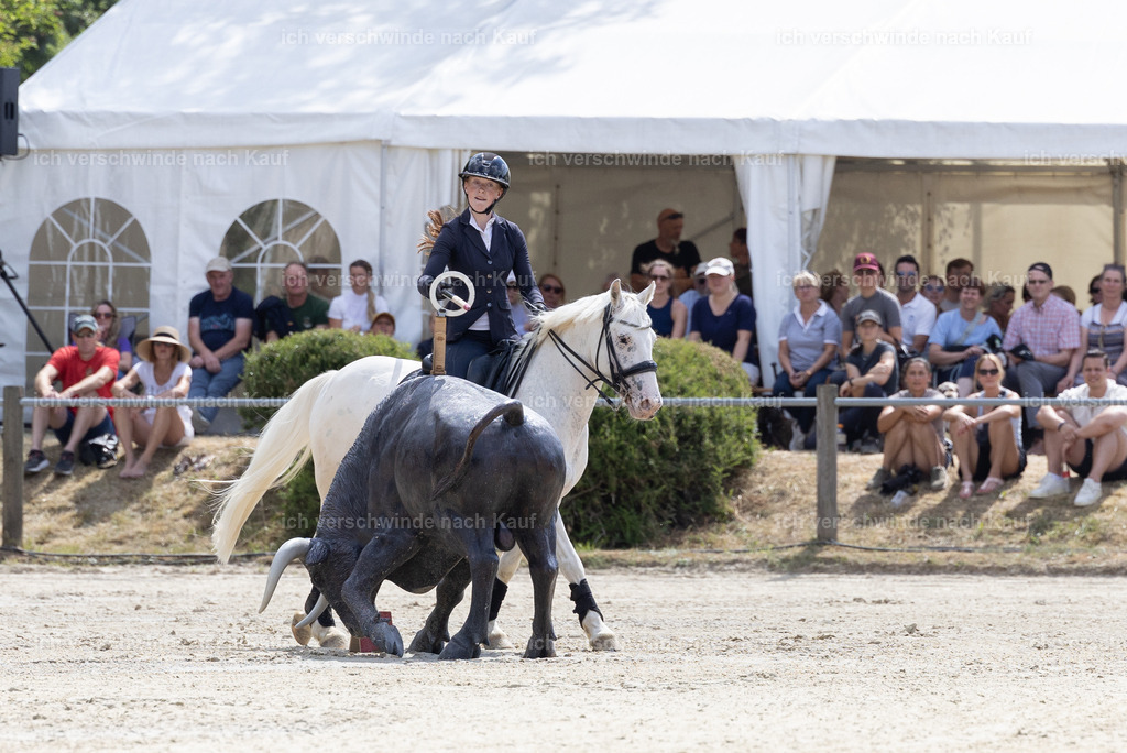 WM_Speed_YR_101_KerstinBernhardt-3 | working equitationturnier fotograf videograf stoibphotography marixx film working equitation deutschland reitsport turnierfotografie eventfotografie equestrian events