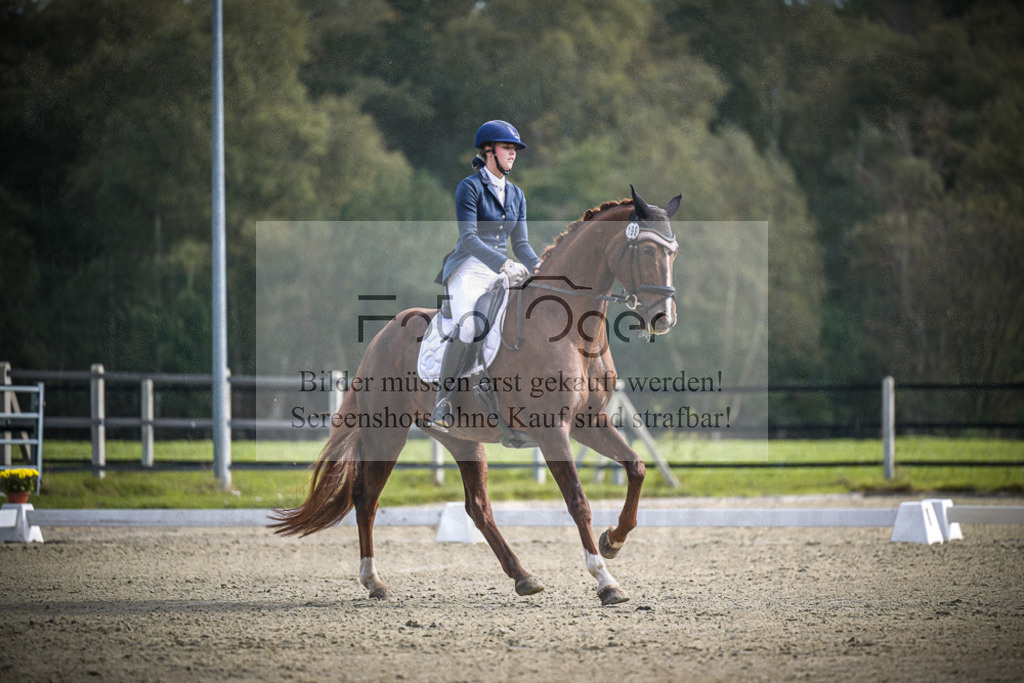 DOS_B645 | Entdecke hochwertige Reitturnierfotos von Foto Oger. Professionell, emotional und authentisch – jetzt Lieblingsmomente im Shop bestellen.Deutschlandweite Turnierfotografie. - Realisiert mit Pictrs.com