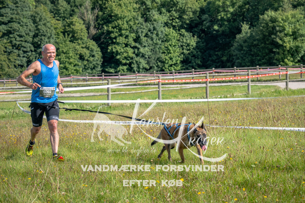 1136_ZZ90483 | kk-dogfotos