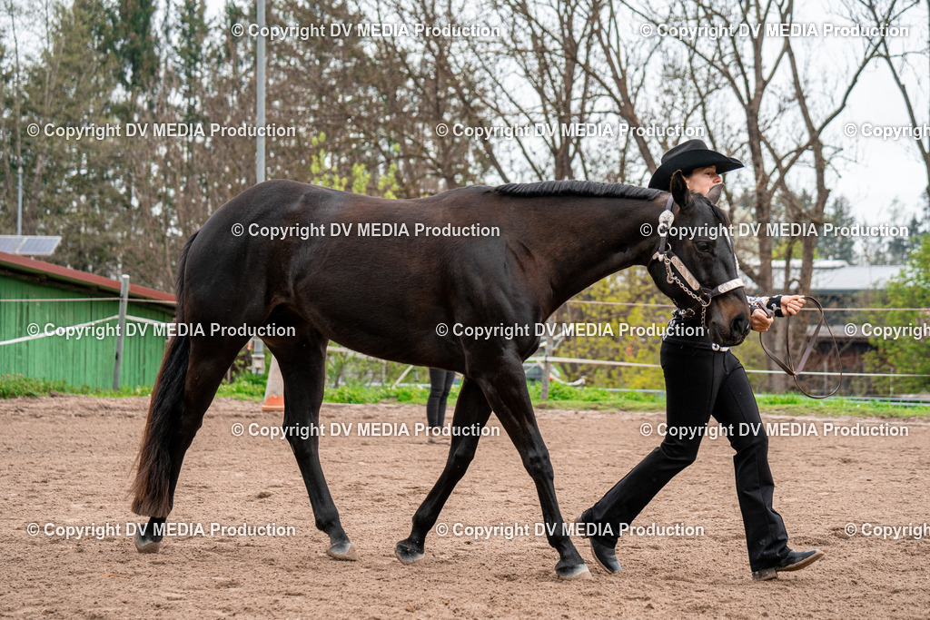 BA300136 | dv-media-shop - Realisiert mit Pictrs.com