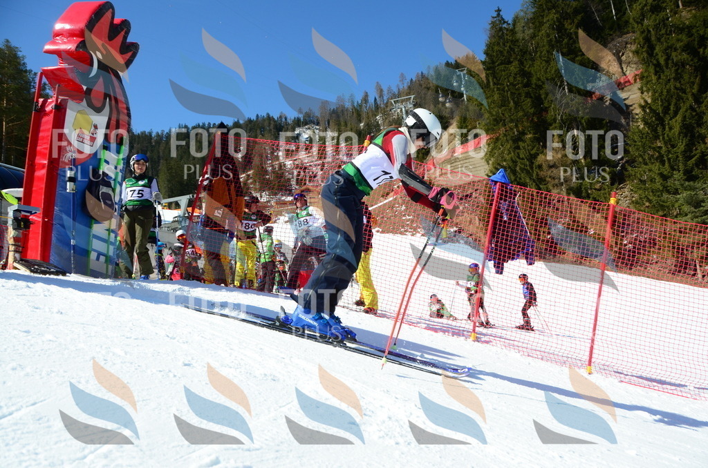 C6296 | holidayphoto