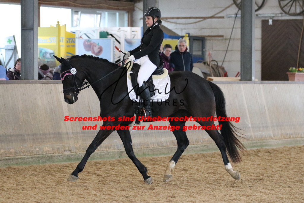 IMG_8354 | lmwpictures - Realisiert mit Pictrs.com