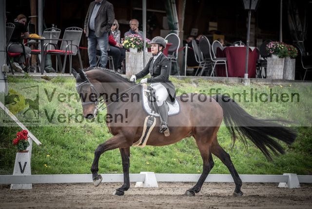 DSC_2947 | equestrian-live-com