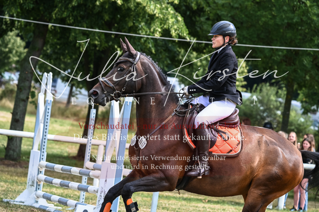 DSC_8293 | Pferde- und Turnierfotografie in Westsachsen. Pferdeportraits, Auftragszeichnungen und intuitive Kunst.