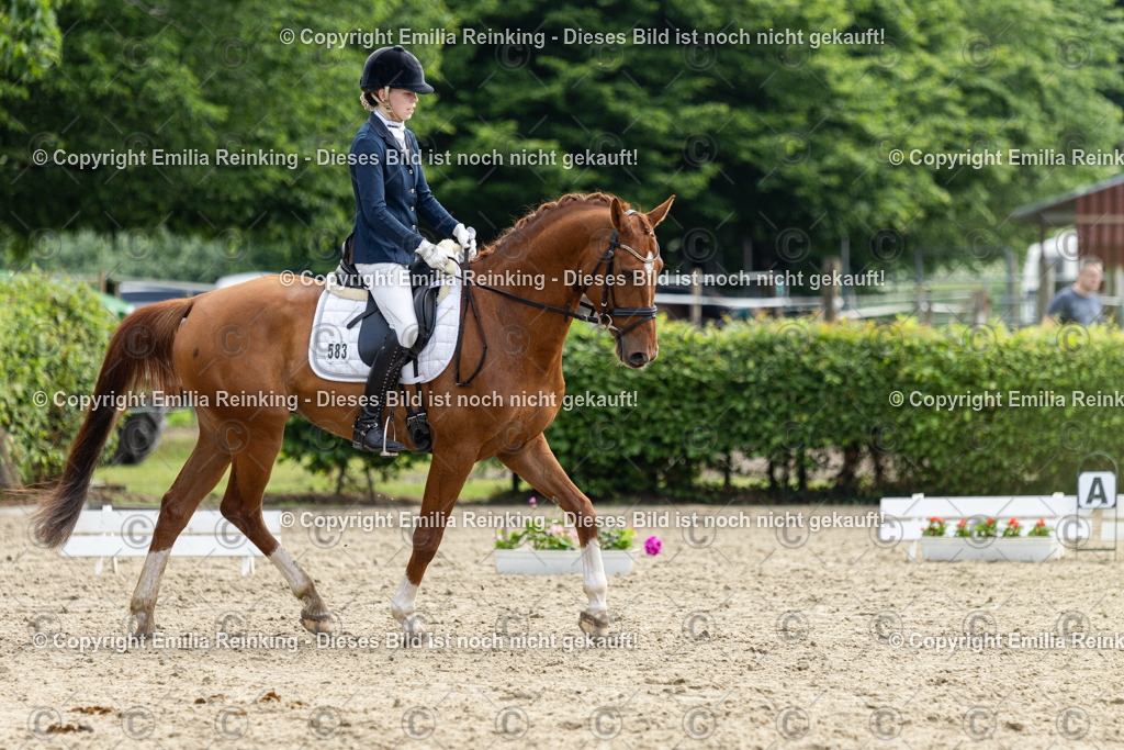 CL5A4982 | Emilia Reinking Fotografie - Realisiert mit Pictrs.com