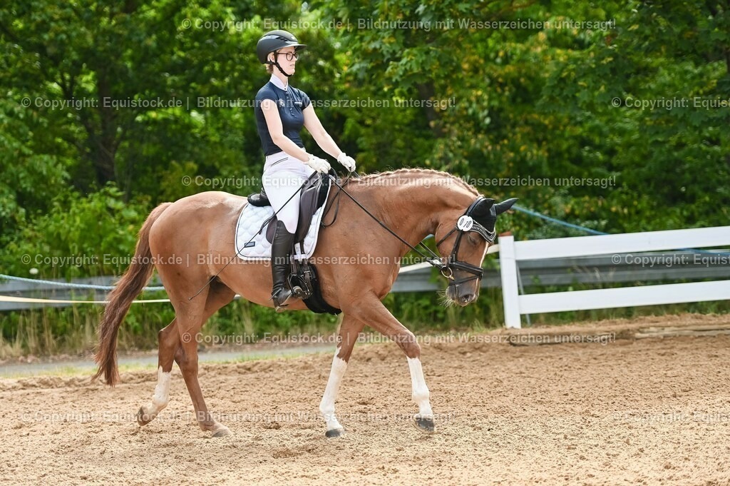 20230715_07_Dressurpferdeprfg. Kl.L_0097 | equistock