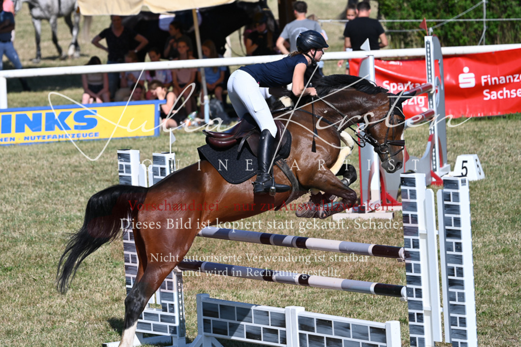 DSC_2029 | Pferde- und Turnierfotografie in Westsachsen. Pferdeportraits, Auftragszeichnungen und intuitive Kunst.