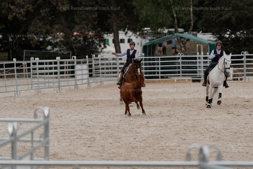 WE__Stoib_Rinder_PI2025_3156 | Pferd International München 2025