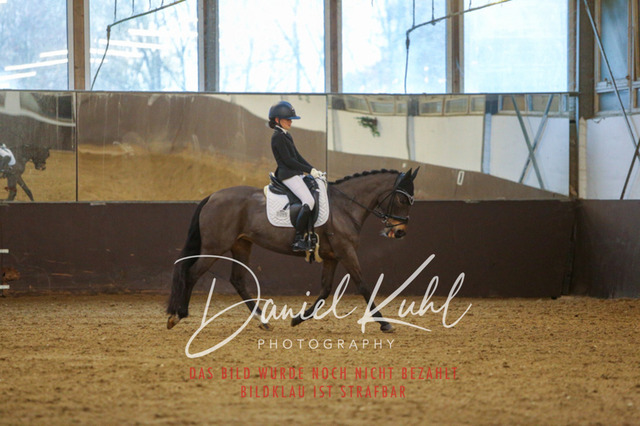IMG_8090 | Turniersportfotografie; Pferdefotografie; Dressurfotografie