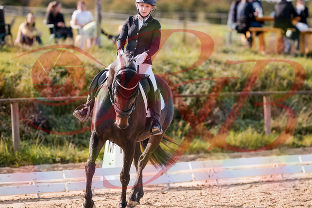 2026_10_03_Siefer-Hof_121633_Z81_19524093 | Professionelle Reitsport-, Turnier- und Eventfotografie von Robert Broda. Galerien mit ausgewählten und bearbeiteten Bildern direkt online ansehen und bestellen.