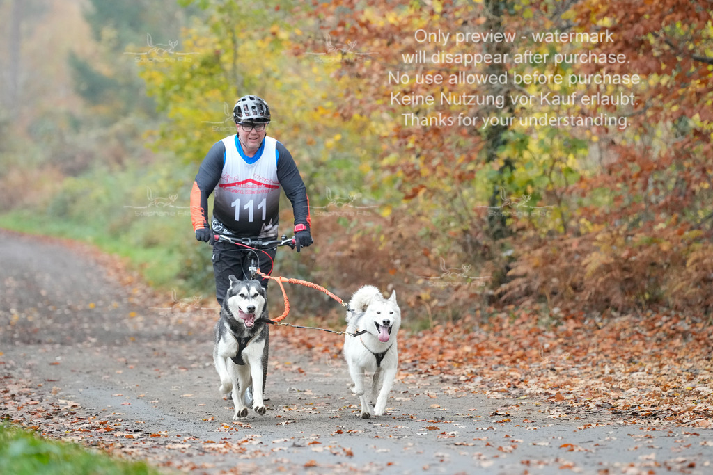 ScooterRigs2dogs_So-27 | stephaniefillaphotographie - Realisiert mit Pictrs.com