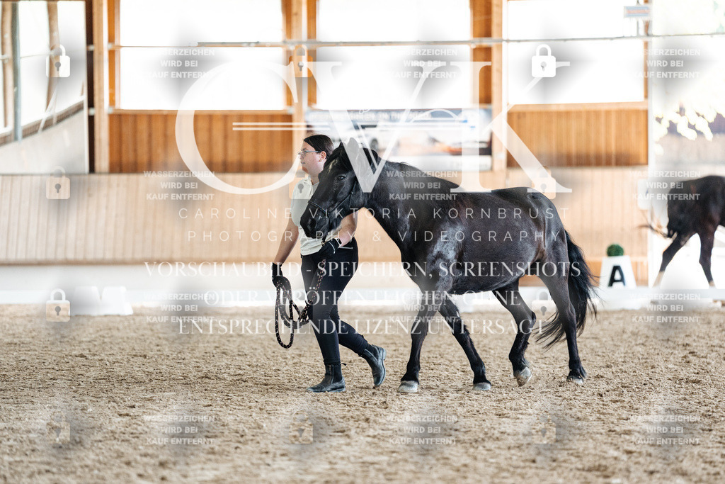 CK907920 | Turnierfotografie Pferdefotografie Trier Rheinland-Pfalz Pferdesport Reitsport Tierfotografie Sportfotografie Pferdevideo Pferdevideografie Equestrianvideography equestrianphotography  - Realisiert mit Pictrs.com