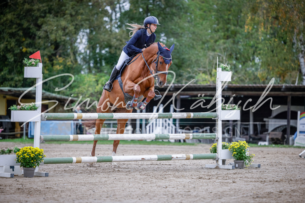 20251012-_3LI4933 | Tierfotografie Pferde, Hunde, Katzen, Haustiere.
Turnierfotografie Reitturniere, Reiten, Springreiten, Dressur in Hanau, dem Main-Kinzig-Kreis und dem Rhein-Main- Gebiet um Frankfurt