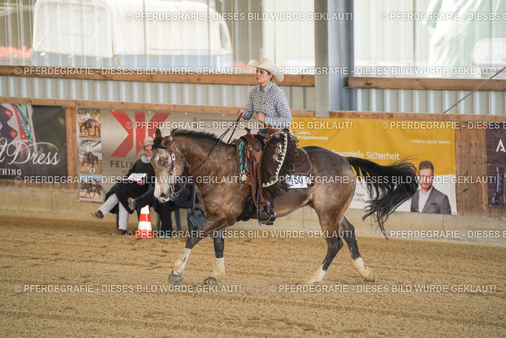 DSC00147 | Pferdegrafie