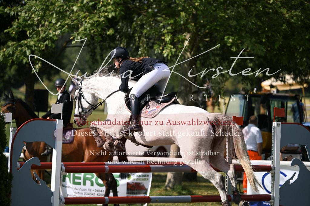DSC_1064 | Pferde- und Turnierfotografie in Westsachsen. Pferdeportraits, Auftragszeichnungen und intuitive Kunst.