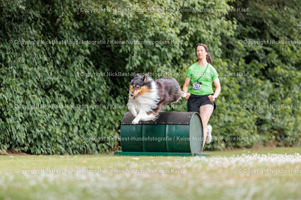 THS-Quakenbrück-2026-Nickbest-Hundefotografie-4586 | Dein Hund! Dein Moment! Deine Erinnerungen! Hundefotografie in Bremen Blumenthal. Ich fange die besonderen Momente deines Vierbeiners ein – ob Indoor mit Blitzanlage oder in der freien Natur. Sicher dir dein Moment und dein Termin für eure Erinnerungen.