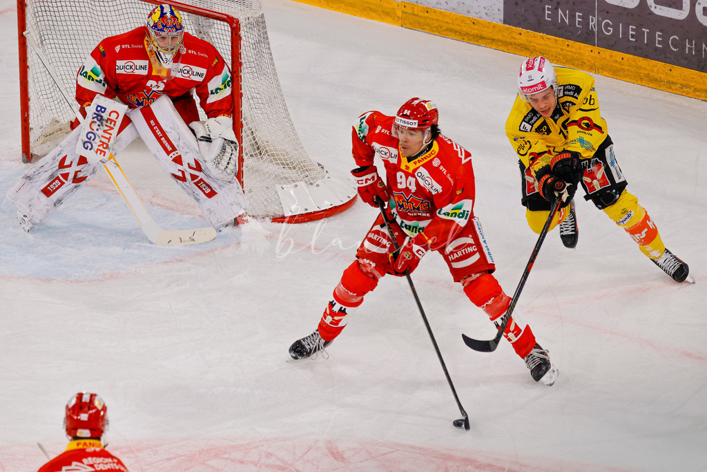 EHCB vs SCB 20260110_wb-3079 | Sportbilder, Sportfotograf, Hochzeits- und Eventfotografin, Flugshows, Portraits und Tiershooting, Aviation, Downhill, Nationalleague, Swissleague, International